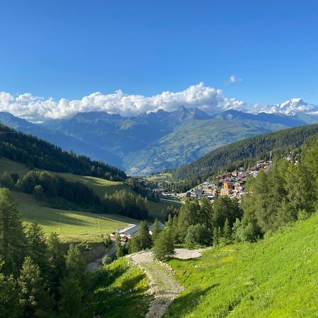 拉普拉涅Plagne Centre - Immeuble Le Mustag - Wifi公寓 外观 照片